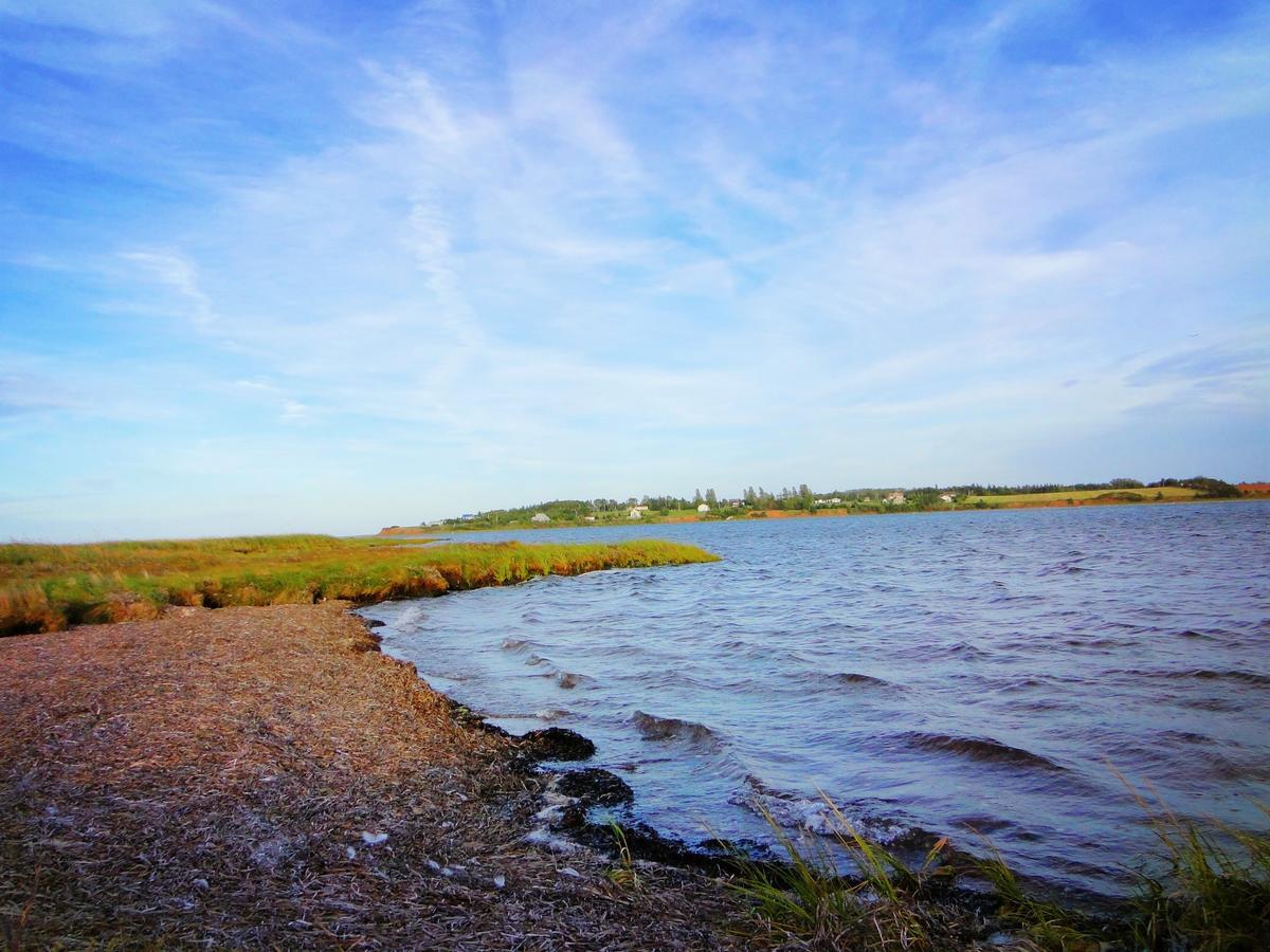 Blue Crest Cottages Норт-Растико Экстерьер фото