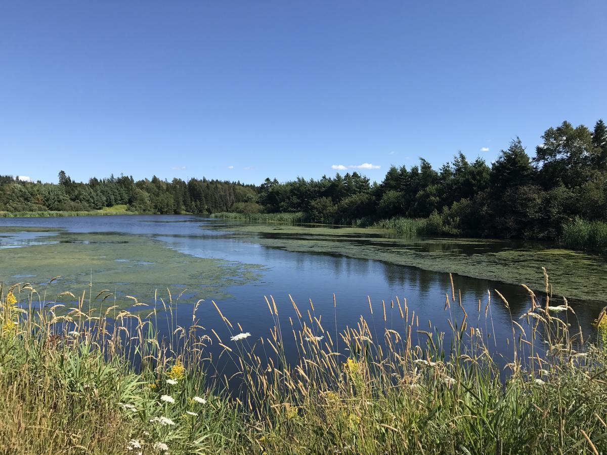 Blue Crest Cottages Норт-Растико Экстерьер фото